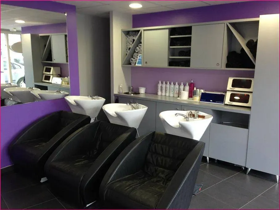 le salon (4)