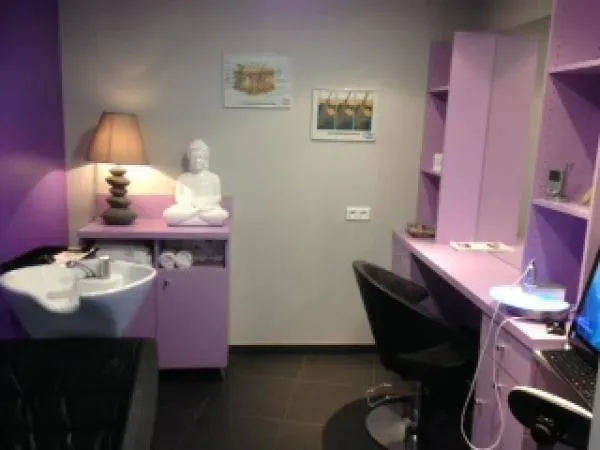 le salon (6)
