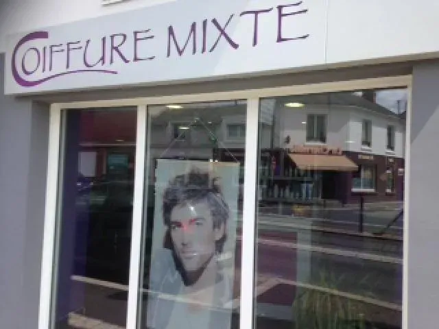le salon (7)