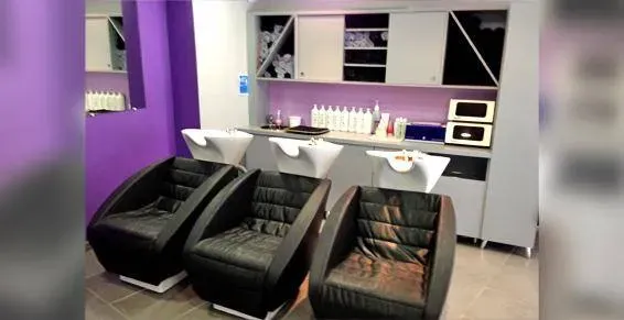 le salon (9)