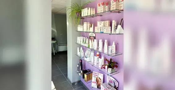 le salon (1)